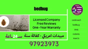 bedbug