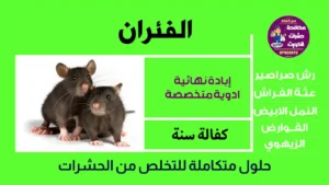 شركة مكافحة الفئران