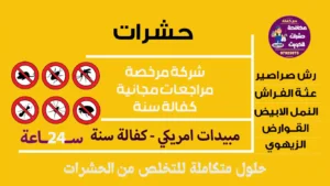 حشرات