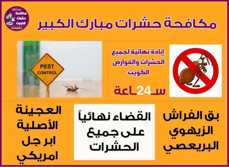 مكافحة حشرات مبارك الكبير